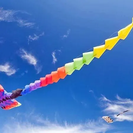 Single-story Homes With Terraces *