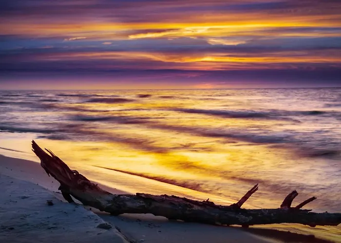 Nyaraló Single-story Homes With Terraces *