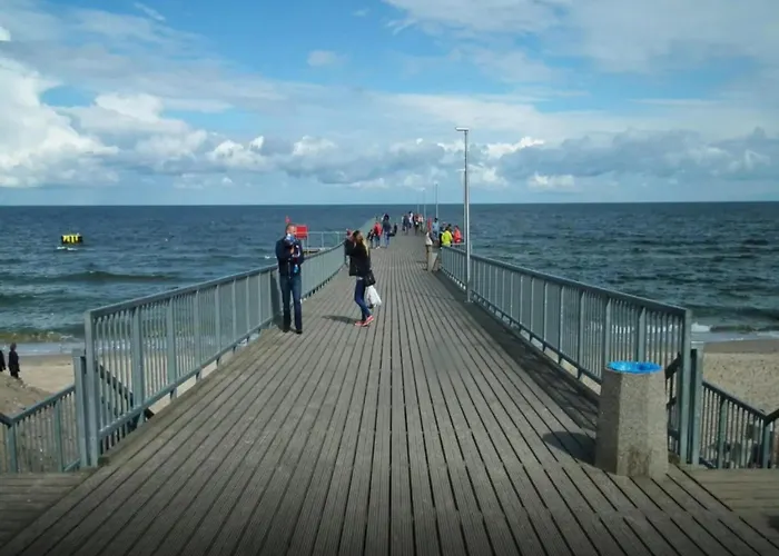 Single-story Homes With Terraces Nyaraló Chłopy