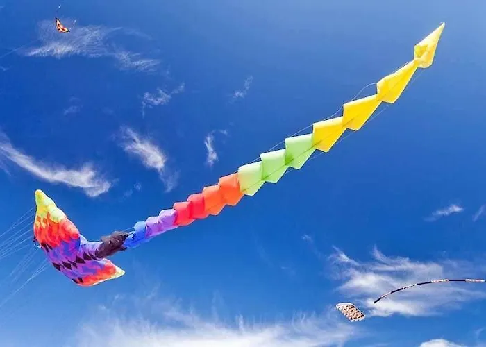 Single-story Homes With Terraces *