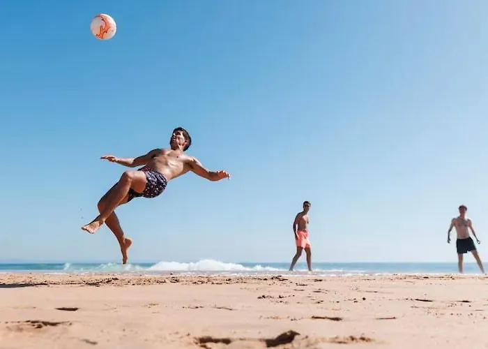 Single-story Homes With Terraces Nyaraló